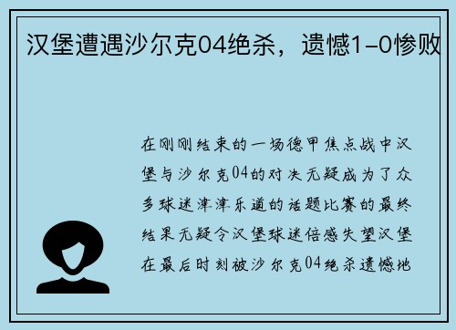 汉堡遭遇沙尔克04绝杀，遗憾1-0惨败