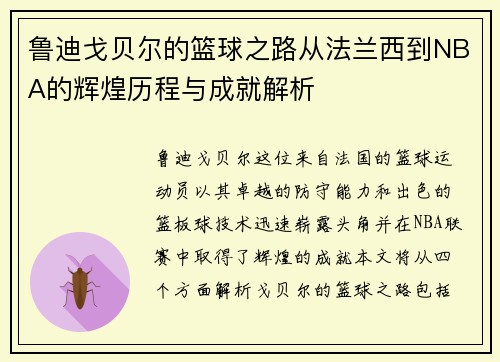鲁迪戈贝尔的篮球之路从法兰西到NBA的辉煌历程与成就解析
